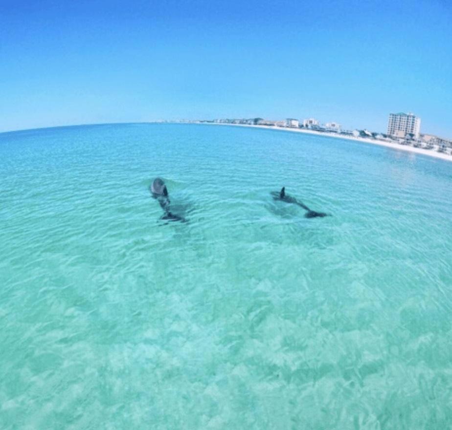 Slt #2043 - Stunning View! Free Beach Service! Destin Ngoại thất bức ảnh